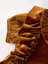 Load image into Gallery viewer, Autumn Brown Velvet Girls Dress