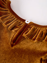 Load image into Gallery viewer, Autumn Brown Velvet Girls Dress